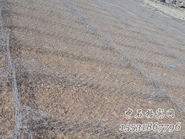 雷諾護墊 雷諾護墊