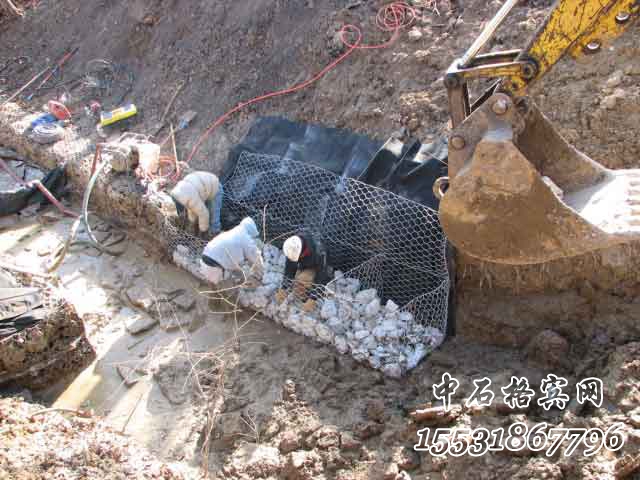 賓格網.jpg 賓格網.jpg