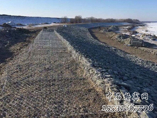 雷諾護墊 雷諾護墊