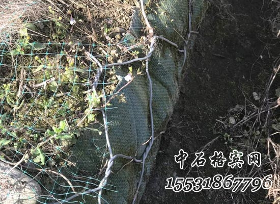 生態格賓網.jpg 生態格賓網.jpg