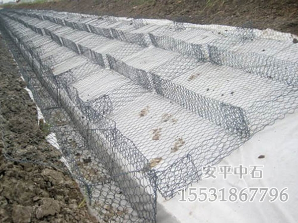 雷諾護墊 雷諾護墊