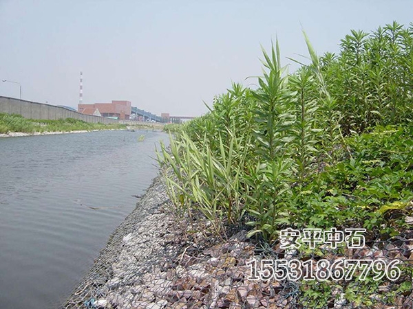 雷諾護(hù)墊 雷諾護(hù)墊